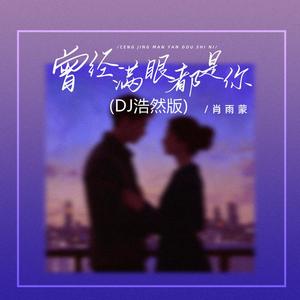 曾经满眼都是你 (DJ浩然版)