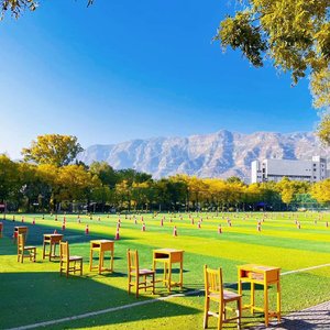 电话，大海，你