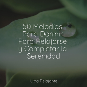 Desintoxicar el Cuerpo