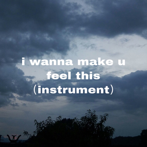 i wanna make you feel this（instrumental）