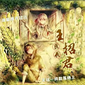 王招君（翻弹版）伴奏