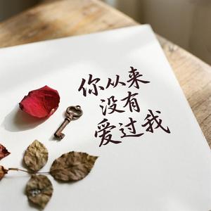 你从来没有爱过我