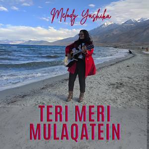 Teri Meri Mulaqatein