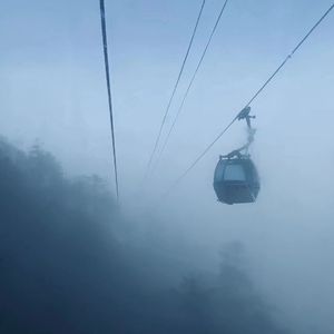 青柠【男女对唱】