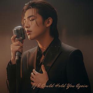 If I Could Hold You Again