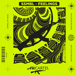 Feelings