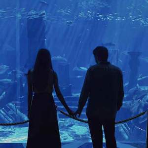 красиво и красиво