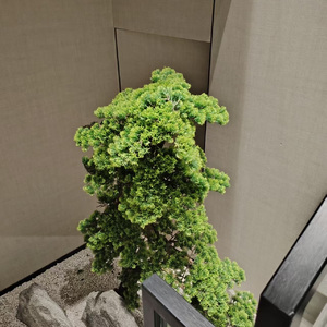 田野-伴奏