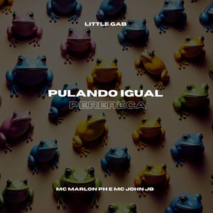 Pulando Igual Perereca