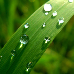 年龄就是必杀技卡点BGM