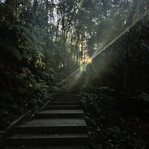 回忆像个冷笑话