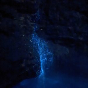 我不争夺星河 只做你的萤火