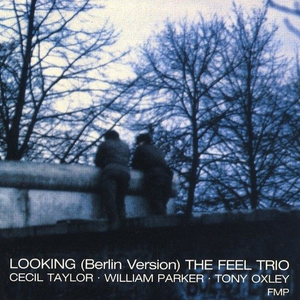 First Part: Looking  the Feel Trio