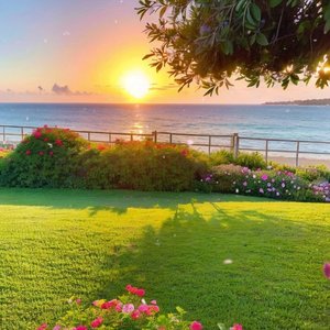 我还记得那天 （翻自 琪琪）