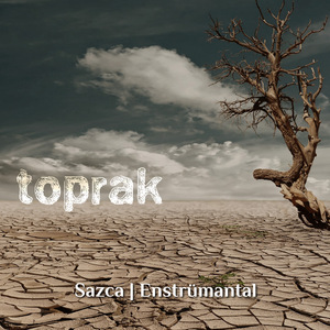 Toprak