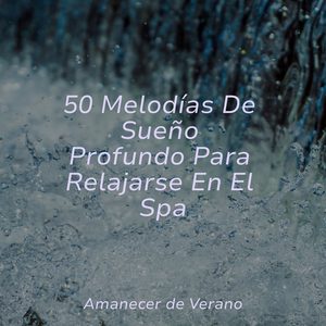 Ecos de la Felicidad Melancólica