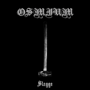 Slegge
