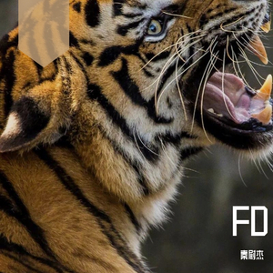 重庆崽儿（prod byGLOCK幺七）