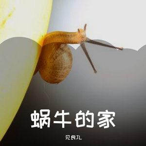 蜗牛的家