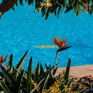 适合居家办公时尚的音乐