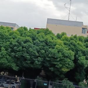 “隔过星辰大海，无畏世俗和尘埃”