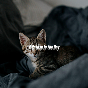 Successful Waltz - Vibe for Breaking for Spring