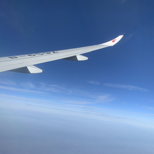 爱是最没用的字