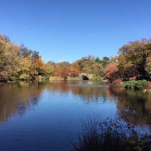 婚礼进行曲(女声版)