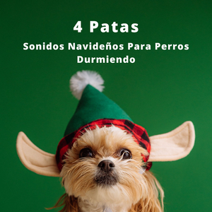 Música Relajante Para Perros