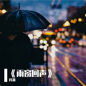《雨窗回声》