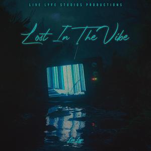 Lost In The Vibe