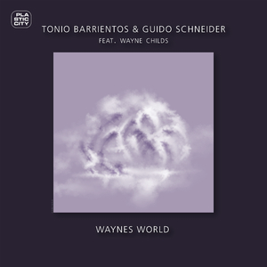 Waynes World (Tobi Neumann Remix)