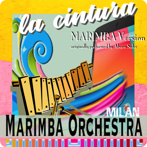 La Cintura (Marimba Version Originally performed by Alvaro Soler)