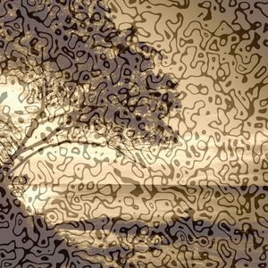 A Zen Garden of Relaxation