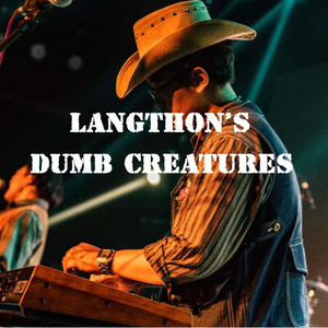 猫咖的懒人沙发我能躺一整天（2020Version）