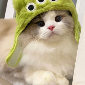 人间不值得清唱