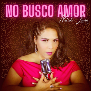 No Busco Amor
