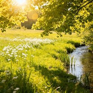 下一位前任 (Cover 赵乃吉)