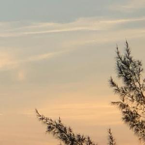 Creepin' (feat. Spencer Thomson & Jacquire King)