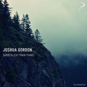 Dämmerlicht (Rain Piano Version)