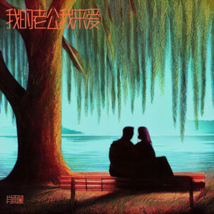 我的老公我来爱