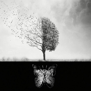 Sessizliğin Çığlık Olur Bana