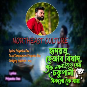 হৃদয়ত হেজাৰ বিষাদ, ব্যক্ত নকৰাকৈও যেন চকুপানীয়ে সকলো কৈ যায়