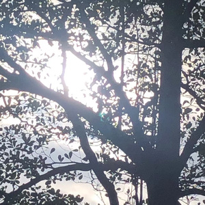 积累节选（prod byMORROW）