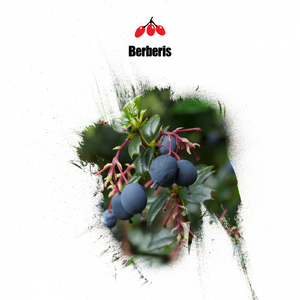 Lesions (Original Mix)