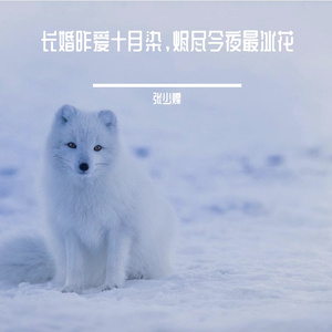 长婚昨爱十月染，烬尽今夜最冰花