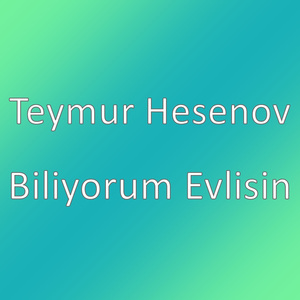 Biliyorum Evlisin