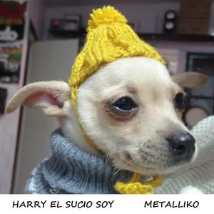 HARRY EL VALIENTE SOY