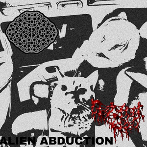 Reptilian Shapeshifters Alien Infiltration of Planet Earth