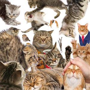 tu mano en la mia (feat bleki)